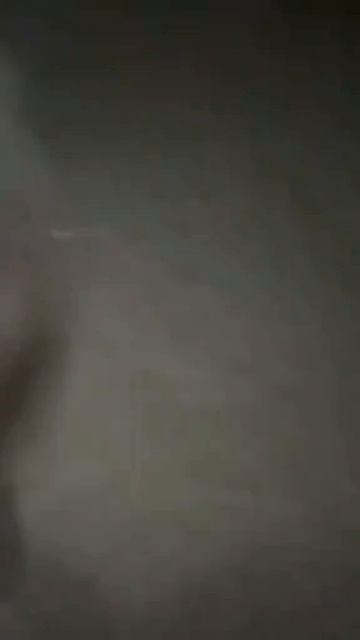 котики