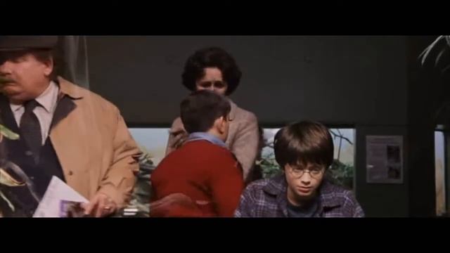 Harry Potter (1 of 13) - There is no such thing as magic