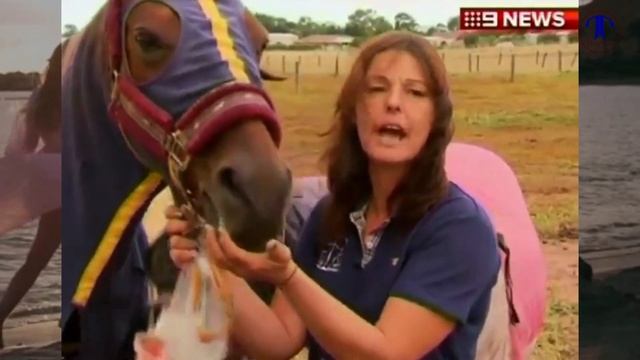 Bravery Mother Who Stayed by Her Horse for Three Hours After Getting Trapped in Mud | TJ Speaks