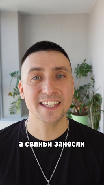 Пятачок 🐽
