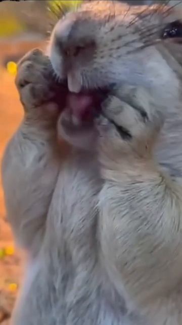 Смотри как могу🤣🤣🤣