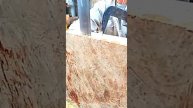 АСТВ. Монстры земли покоряют стихии