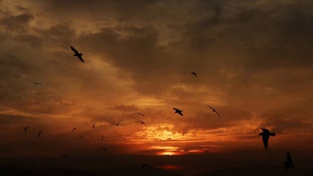 🔥 † ГОСПОДЬ ЗОВËТ!!!🔥