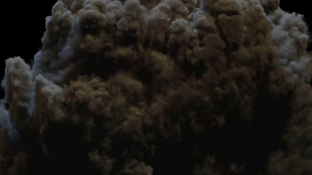 1000000355.mp4