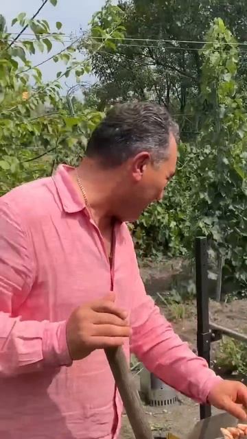 Ягнёнок на вертеле #деньрождения #сергопудра