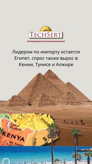 🌍 Россия наращивает экспорт сельхозпродукции в Африку