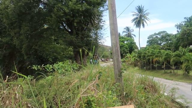 Sol RALLY BARBADOS 2019 - DAY 2 Spring Vale