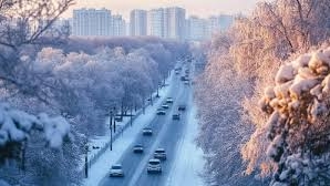 Дорога 02.25