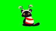 GREEN SCREEN CATS FREE FOR VIDEOS 62 - Green Screen Effects