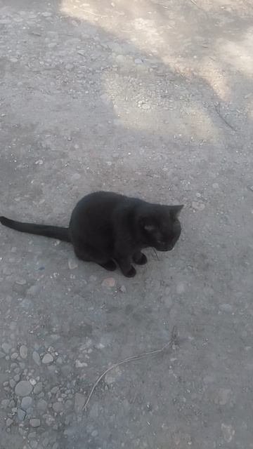 VID_20250310_161452