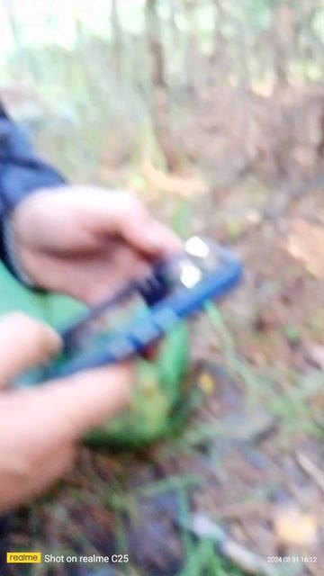 1000005996.mp4