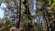Indahnya Kapalo Banda Taram | Objek Wisata Payakumbuh 50 Kota #kapalobanda #taram #elsasusanti