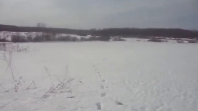 Подслушано в Зайцево#9