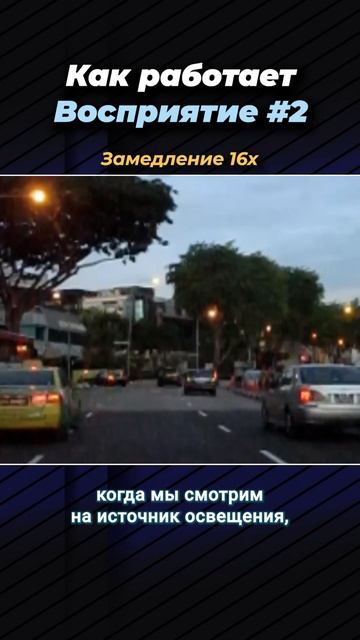 Как работает восприятие человека - мерцание, психолог, психотерапевт, обучение, интуиция