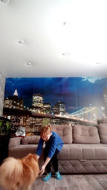 VID_2025_03_11_15_04_44_8915119865752579627668