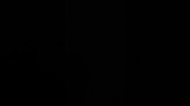 1000007979.mp4