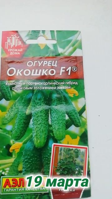 ВЫРАЩИВАНИЕ ОВОЩЕЙ НА ПОДОКОННИКЕ. 🥒🌶️МОЙ ПЕРВЫЙ ОПЫТ. 🍅