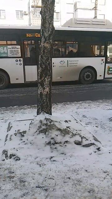 маршрут 64 Курган автобус