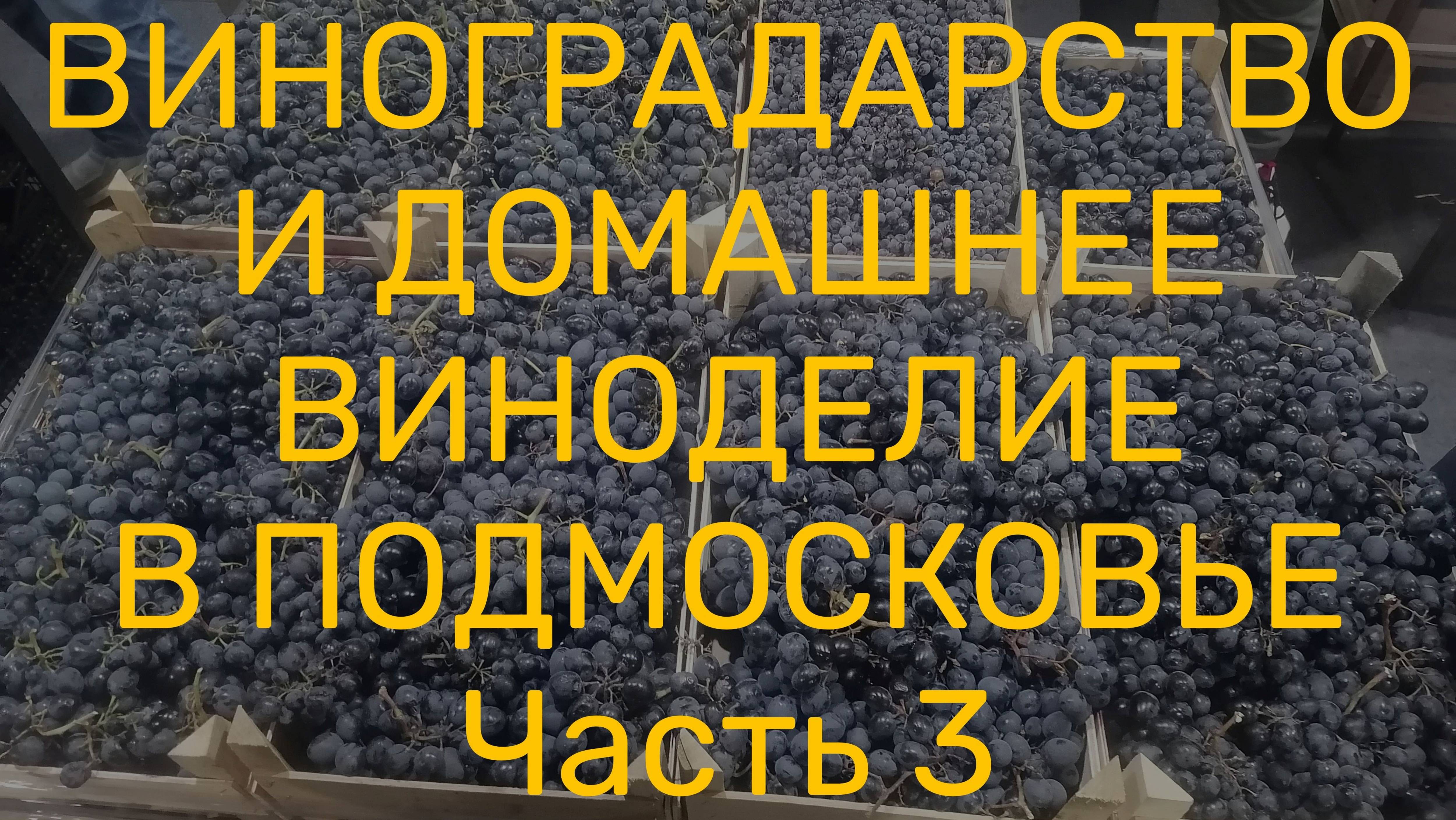 Обзор необходимых аксессуаров для начинающего винодела.