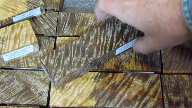 Bold Figure Hawaiian Mango Stabilized Wood Blocks