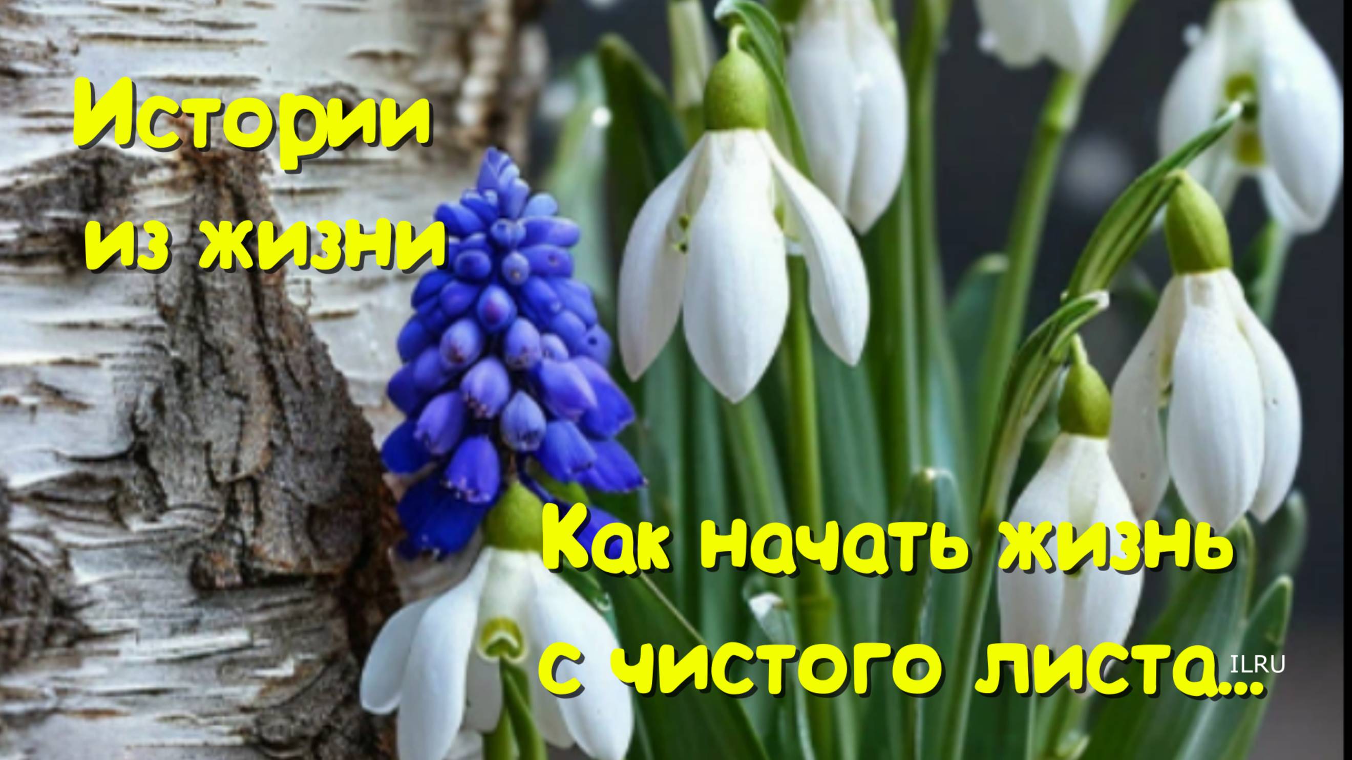 Как начать жизнь с чистого листа? 💔 История любви, ошибок и поиска себя...