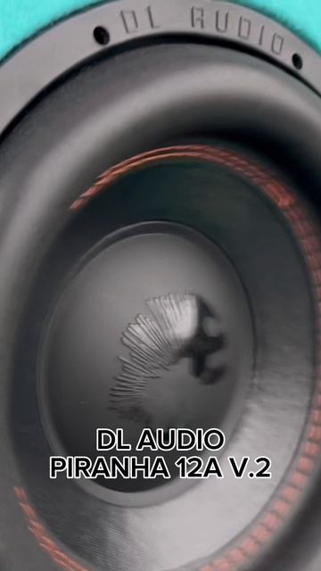 DL AUDIO PIRANHA 12A V.2