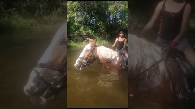 Плавание лошадей, Саша на Каспере, Варя на Лаванде, Самира на Аквилоне. #horse #флейта #ксккаспер