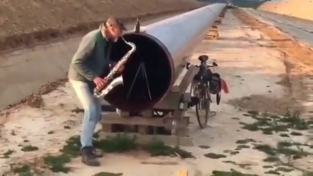 Где то на границе Мексики и США 🤣🤣🤣