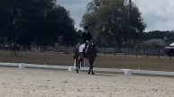 Tukan Dressage