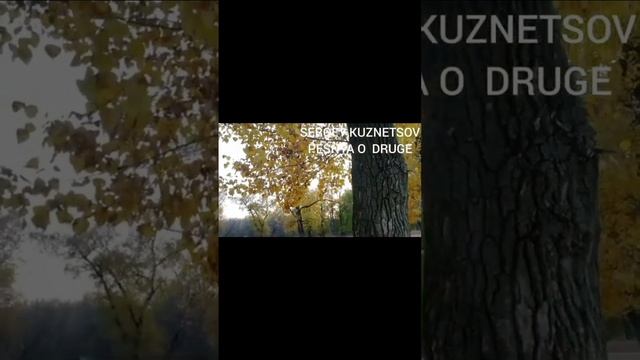 "Pesnya o Druge!" Песня о Друге! Сергей Кузнецов-Светлый