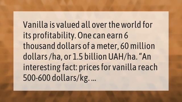 Can you grow vanilla beans at home?