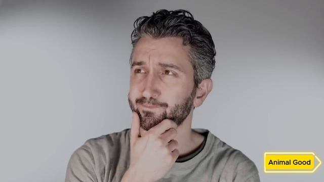 Стая волков окружила Грузовик в Лесу, а затем произошло что-то Шокирующее!