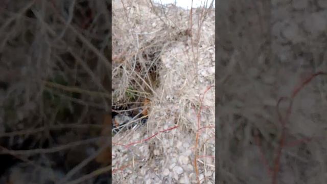 старая дренажная система