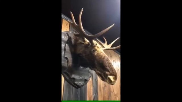 Сауны Саратова. - КОМБАЙН в Саратове