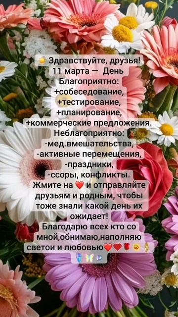 Прогноз на сегодня