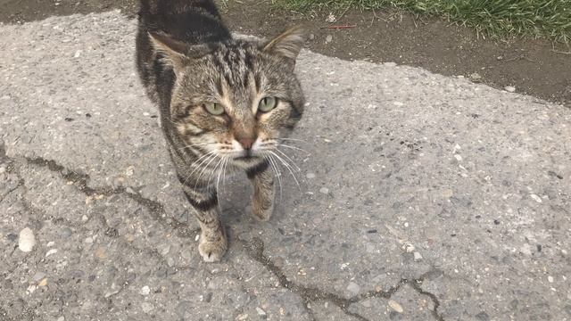 Истина побеждает всегда, рано или поздно