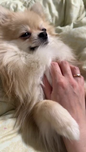 Ронни ❤