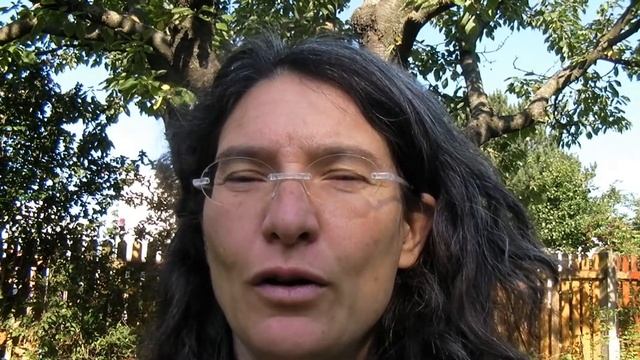 Hausapotheke für die Seele: der radikale Cissus