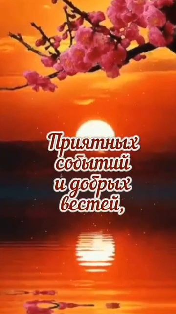 VID-20250310-WA0055
