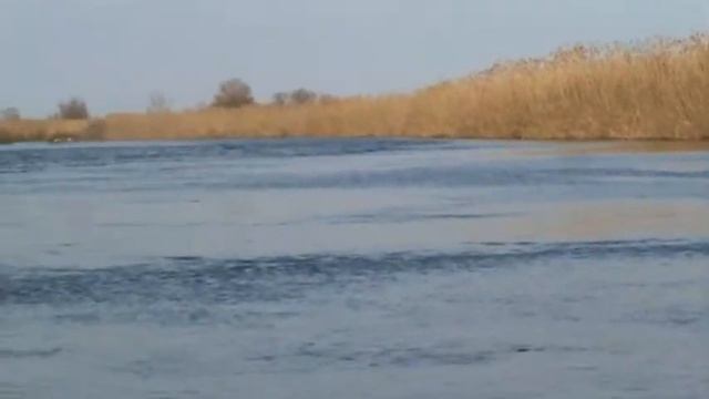 Митричево.MPG