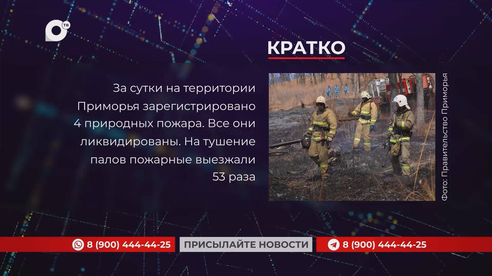 Кратко / 11.03.25 / Вечер