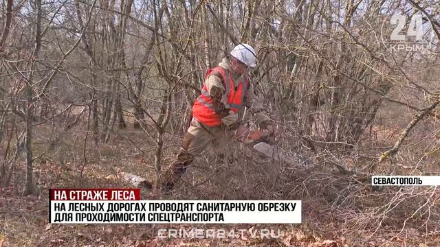 В Севастополе ввели первый класс пожарной опасности: город готовится к «горячему» сезону в лесах