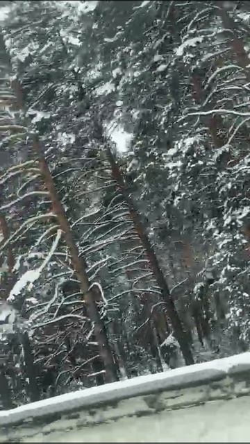 1000033344.mp4