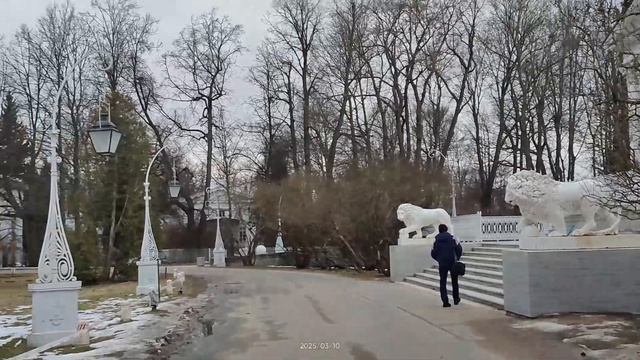 Елагин парк 10.03.2025.