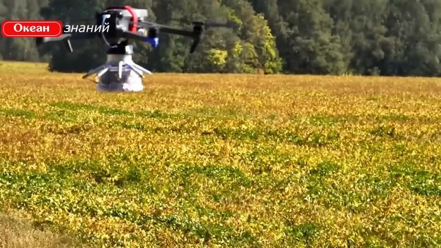 Дроны-перехватчики с сеткой Тайга применила Россия в Украине, обзор