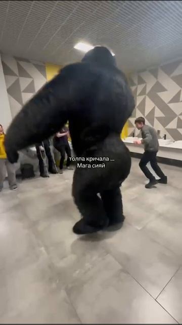 бибизаня