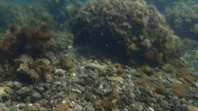 В черном море во время шторма под водой