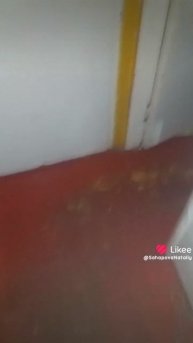 Like_7480650855401169637.mp4