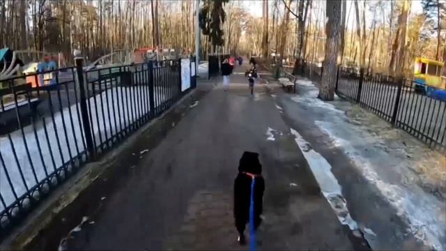 Забег с Джо