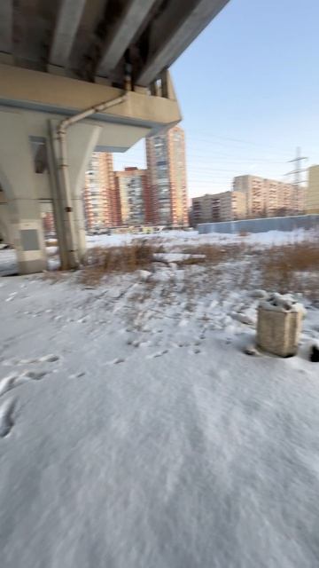 Урна посреди пустыря